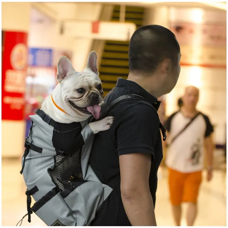 Hiking Pet Dog Carrier Travel Backpack Outdoor
