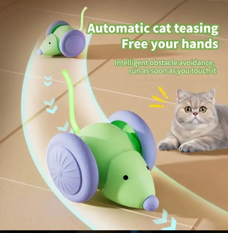 Pet toys Interactive Cat Toy Electric Mouse Car