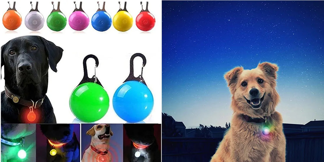 New Led Luminous Dog Collar PVC Waterproof