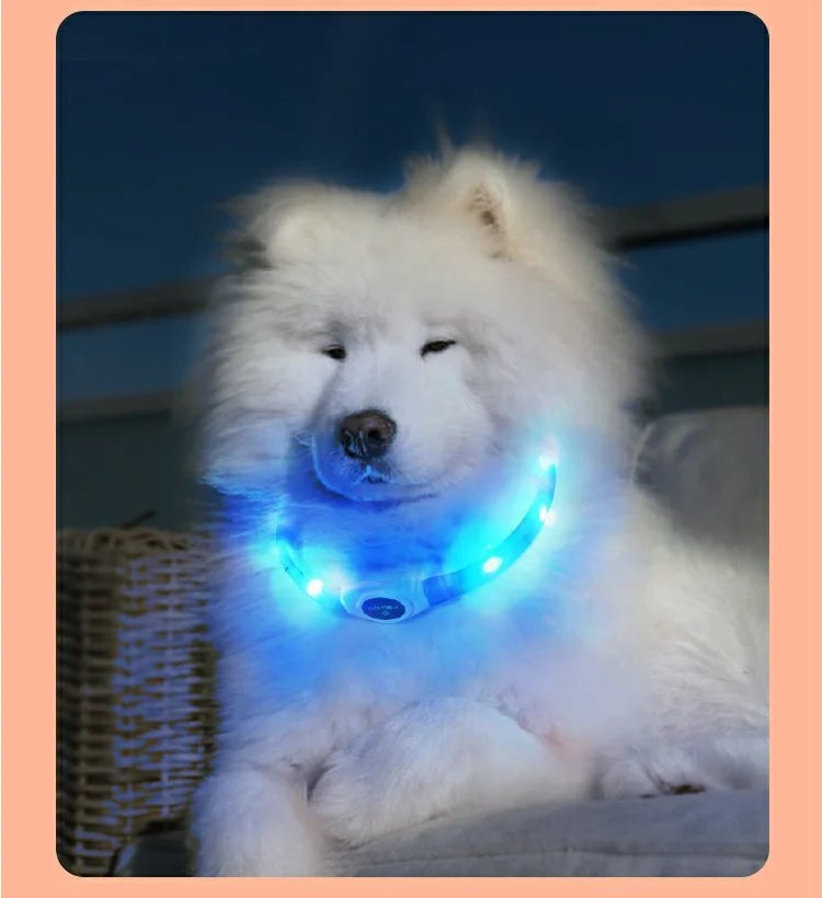 New Led Luminous Dog Collar PVC Waterproof