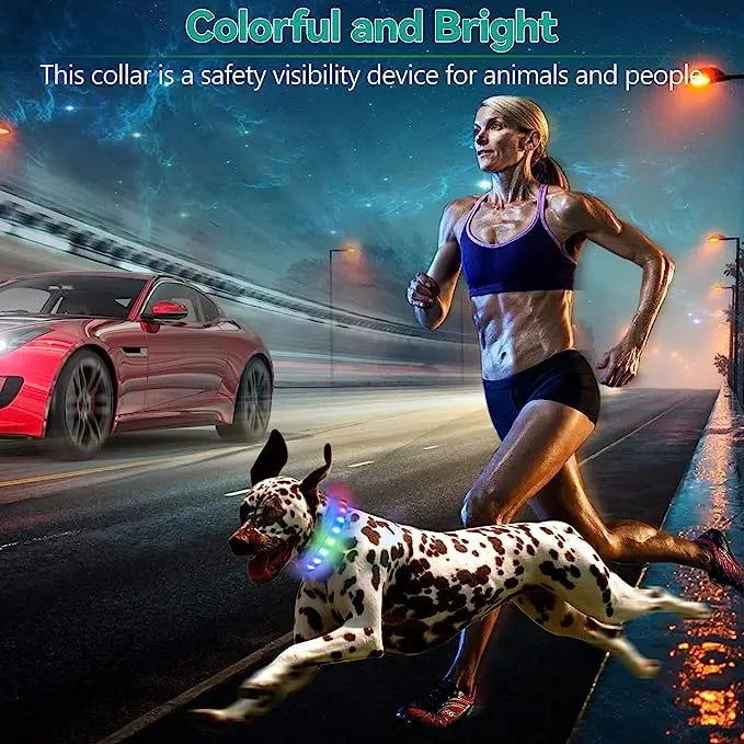 New Led Luminous Dog Collar PVC Waterproof