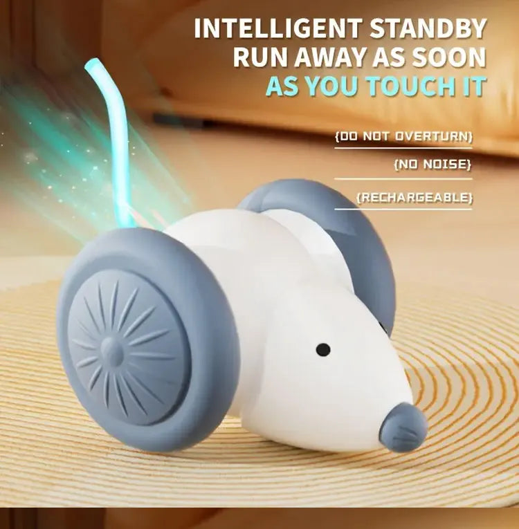 Pet toys Interactive Cat Toy Electric Mouse Car