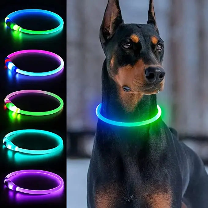New Led Luminous Dog Collar PVC Waterproof