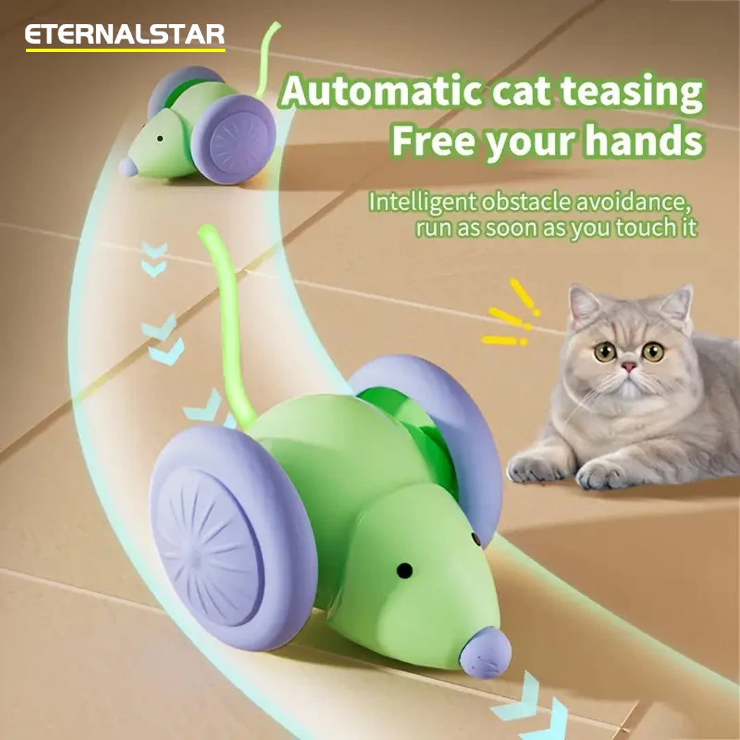 Pet toys Interactive Cat Toy Electric Mouse Car