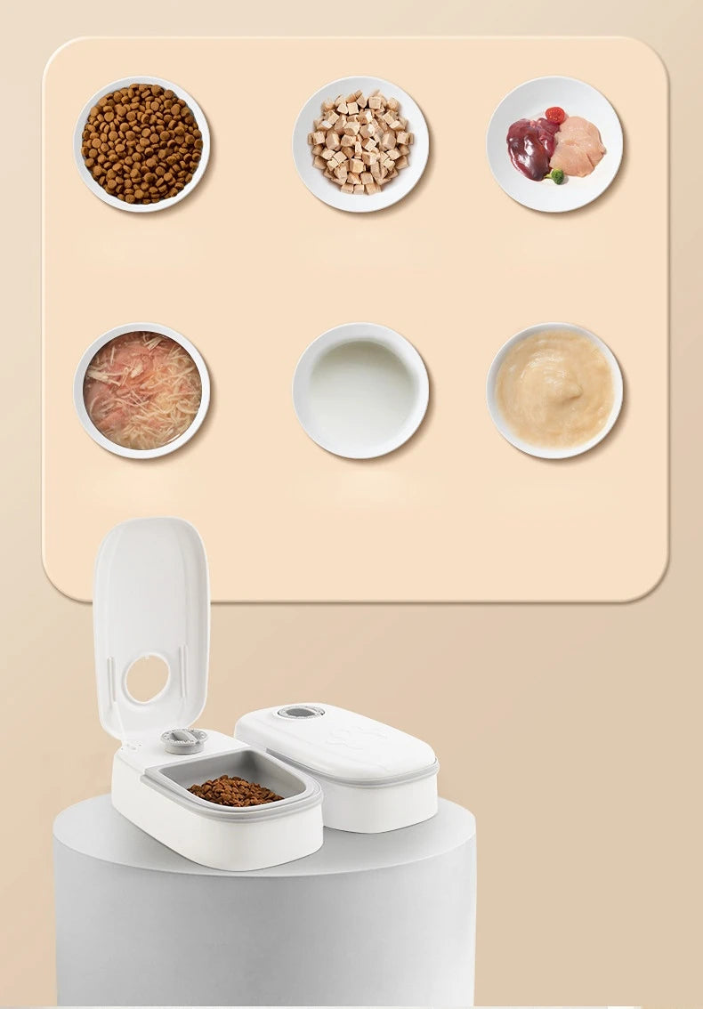 Pet Automatic Timing Feeder 350ML