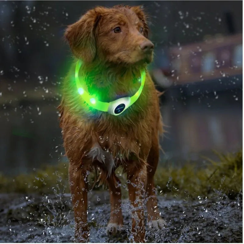 New Led Luminous Dog Collar PVC Waterproof