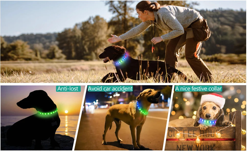 New Led Luminous Dog Collar PVC Waterproof