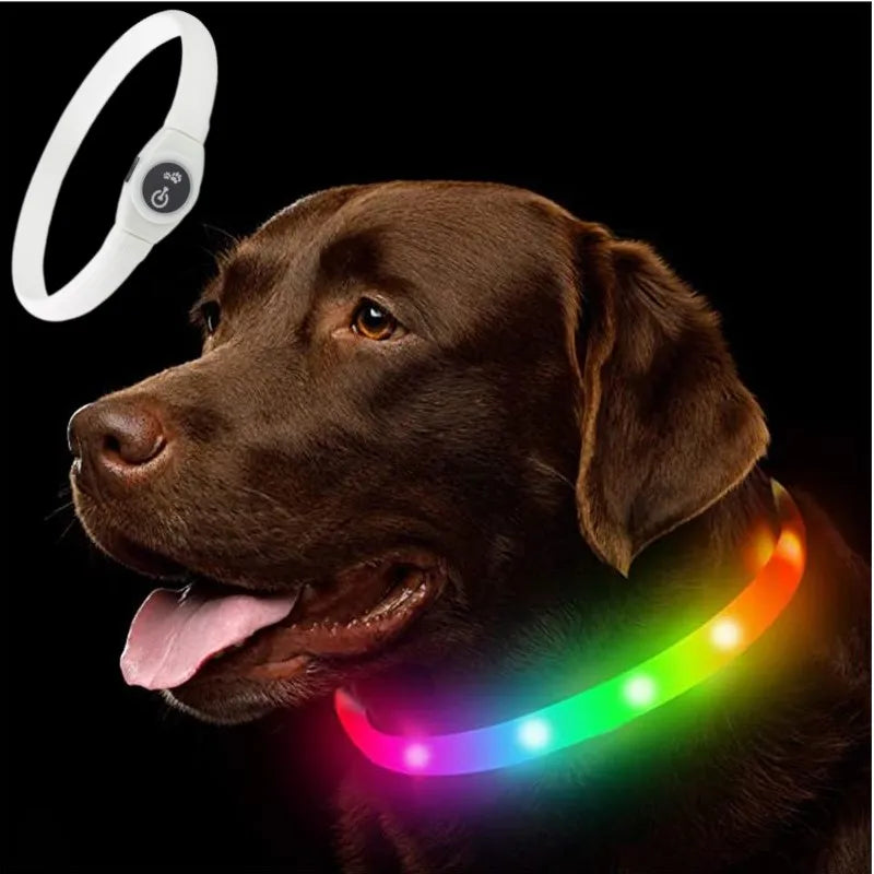 New Led Luminous Dog Collar PVC Waterproof