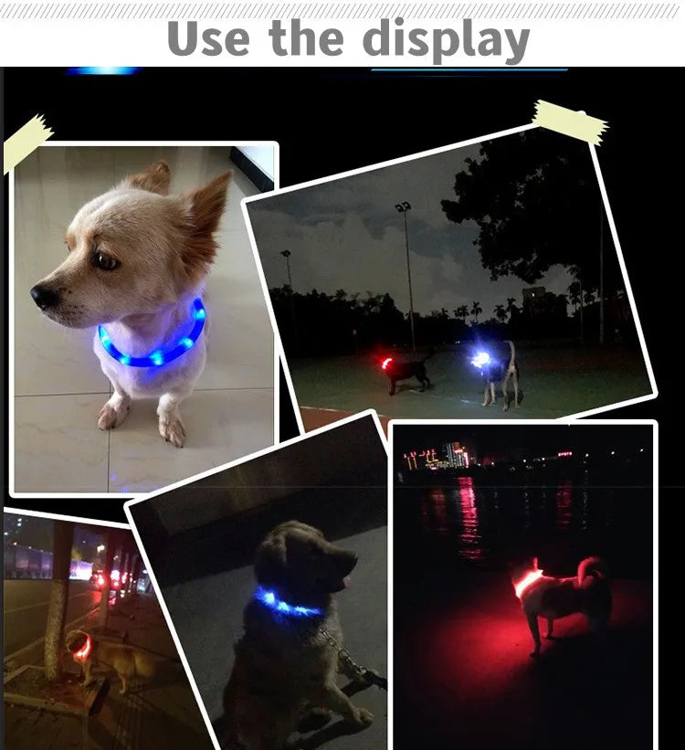 New Led Luminous Dog Collar PVC Waterproof
