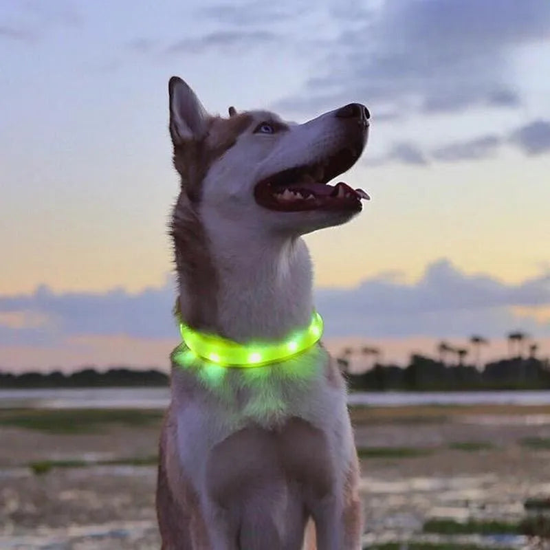 New Led Luminous Dog Collar PVC Waterproof